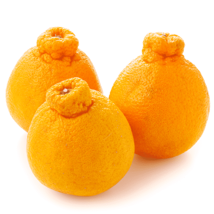 shiranui mandarin