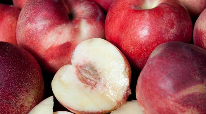 White Nectarine (Arctic Star)