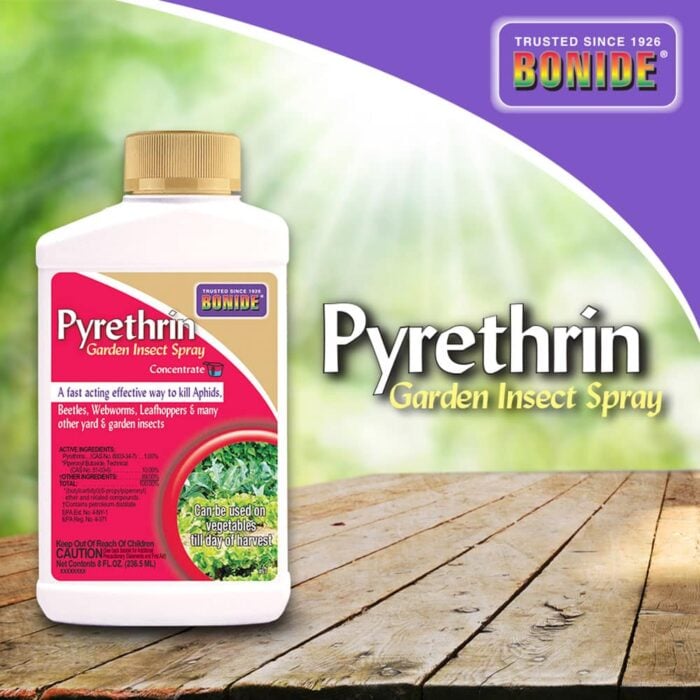 Bonide Pyrethrin Garden Spray
