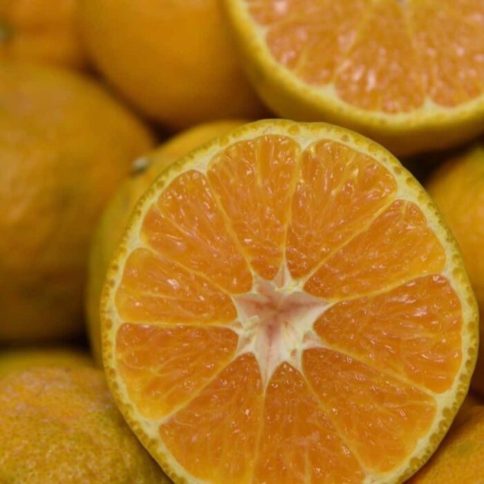 Mandarin (Gold Nugget)