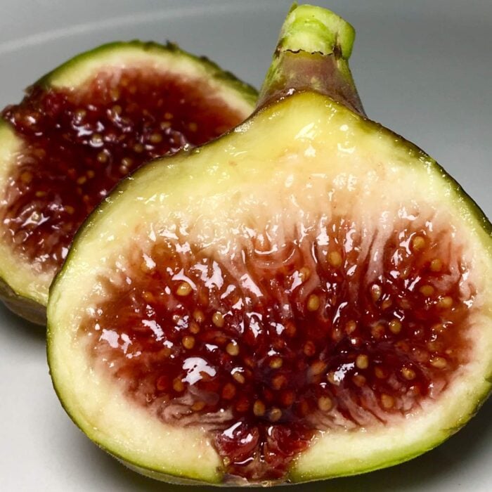 Fig Tree (Smith)