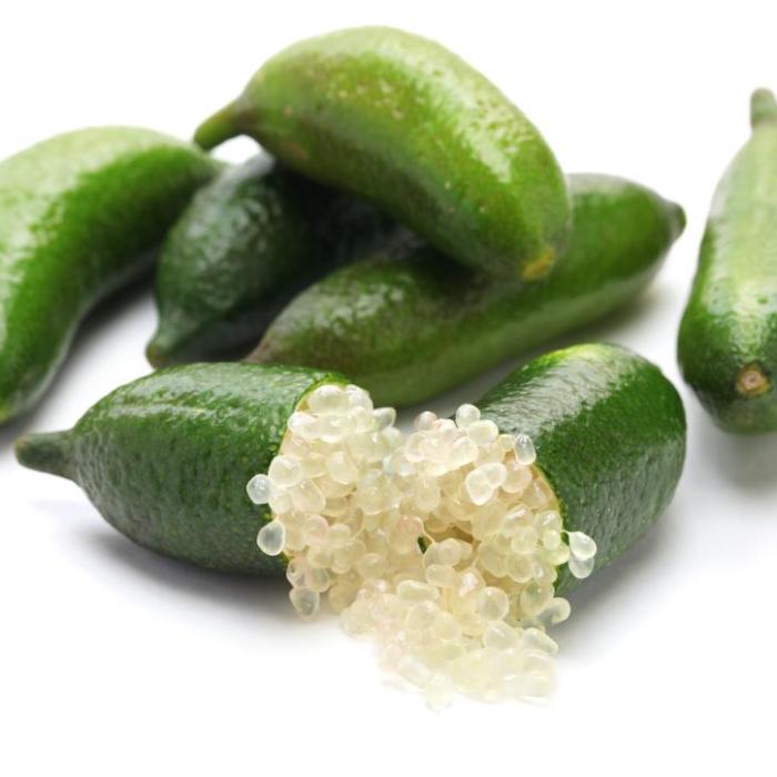 Australian Finger Lime