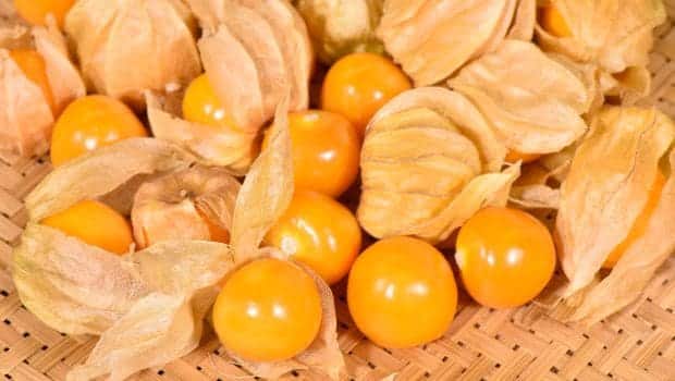Cape Gooseberry (Goldenberry)