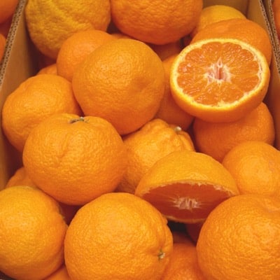 Mandarin (China S-2)