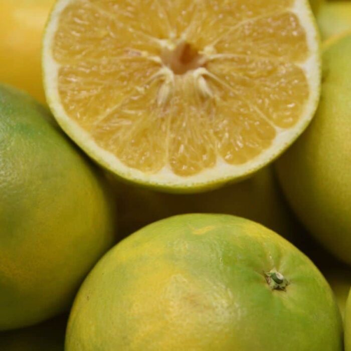 Grapefruit (Cocktail)