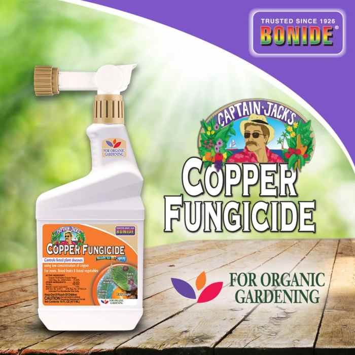 Bonide Copper Fungicide RTS