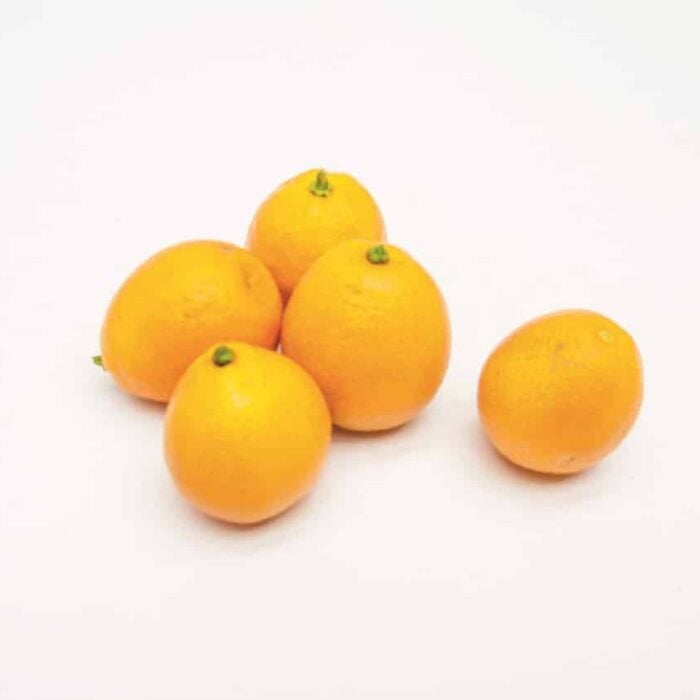 Kumquat (Fukushu)