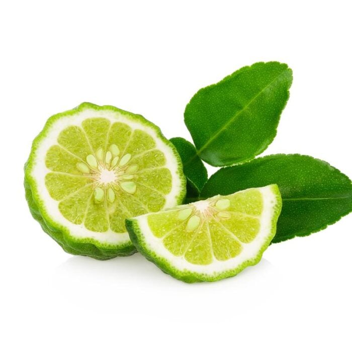 Kaffir/Keiffer Thai Lime