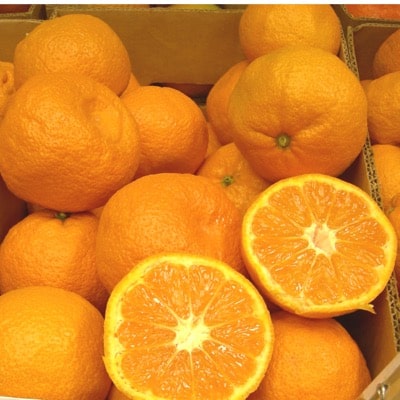 Mandarin (Kuno Wase)