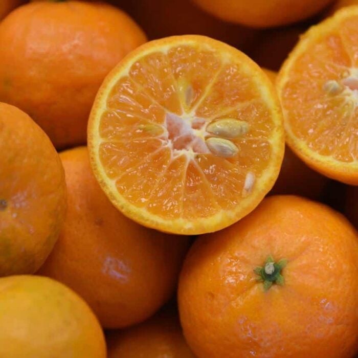 Mandarin (California Honey)