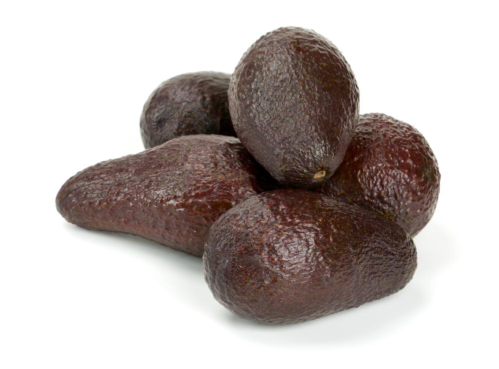 Avocado (Mexicola-Grande) - Cold Hardy Avocado