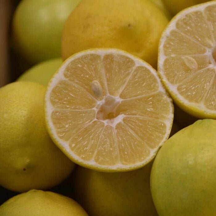Palestine Sweet Lime