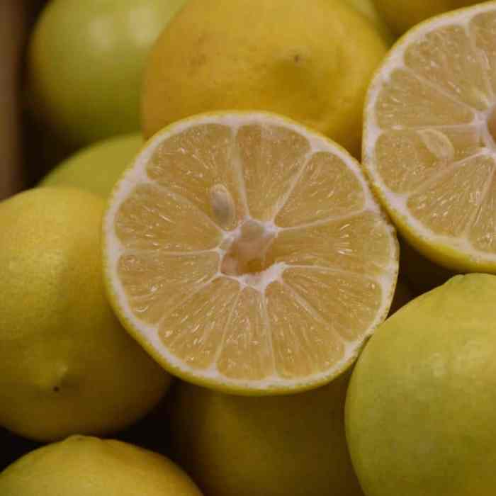 Palestine Sweet Lime