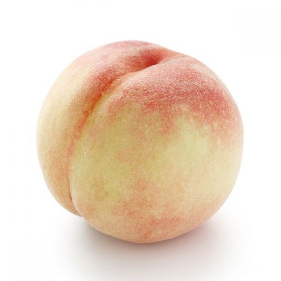 Peach Tree (Salish Summer/ Q 1-8) White Peach