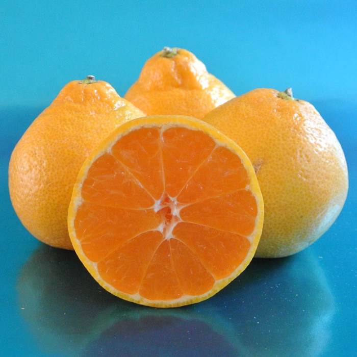 Mandarin (Miho Wase Satsuma)