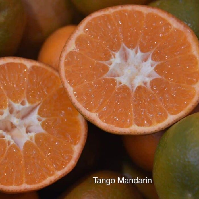 Mandarin (Tango)