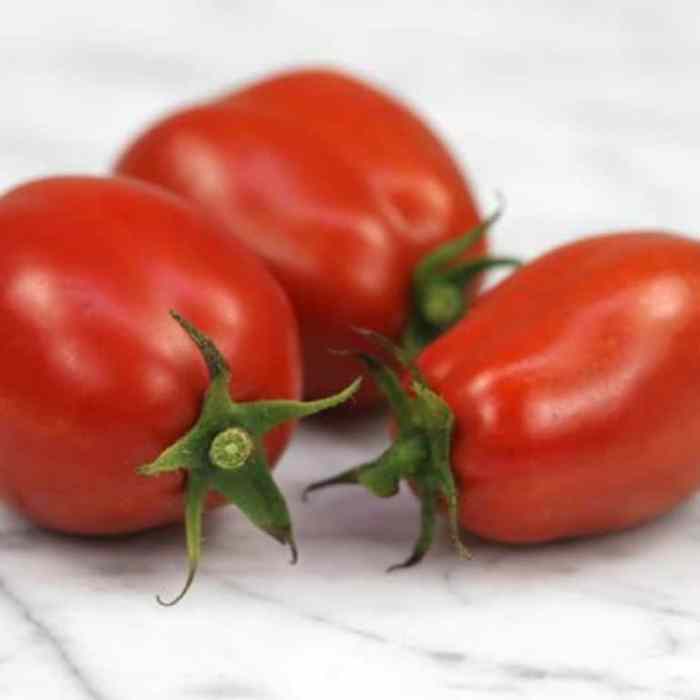 Tomato (Roma)