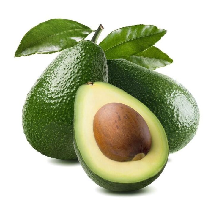 Avocado (Zutano)