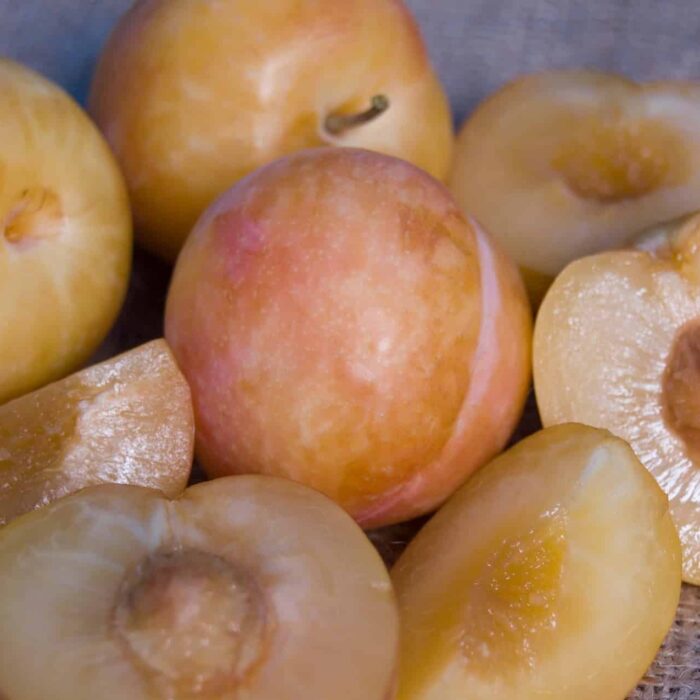 Pluot (Splash)